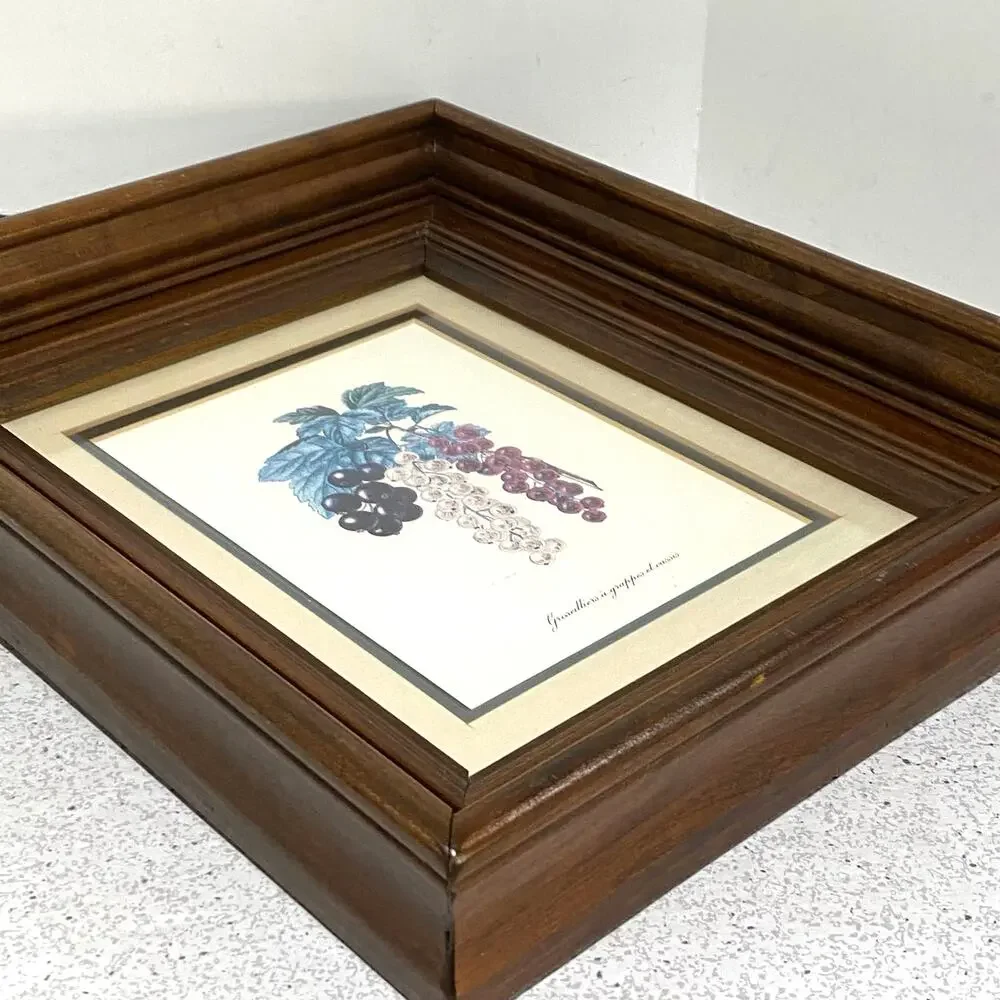 Botanical Lithograph Print Framed in Shadowbox Deep Walnut Solid Wood Frame